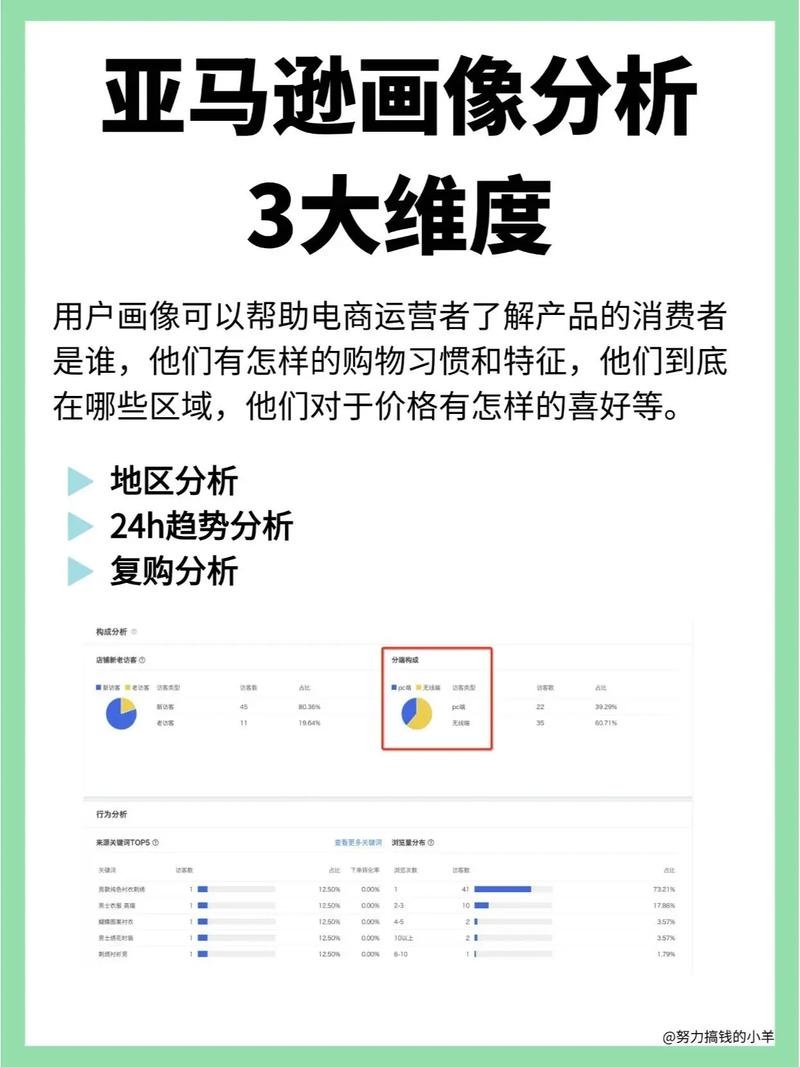 亚马逊品牌独立站如何有效查询与对比，助力品牌增长，卖家自查有哪些关键点？