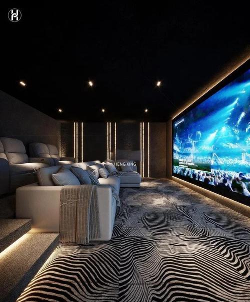 如何定制Emby插件，打造个性化家庭影院体验？