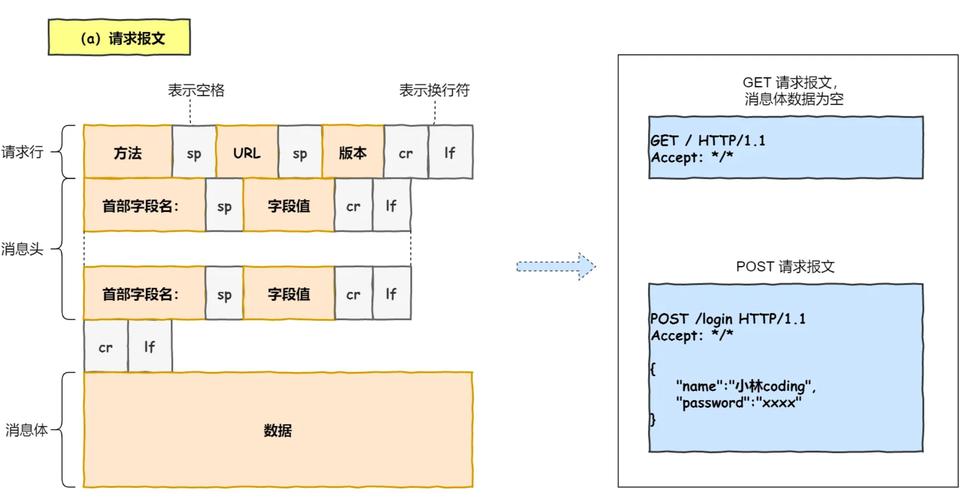 输入网址后网页如何加载显示，背后涉及哪些复杂过程？