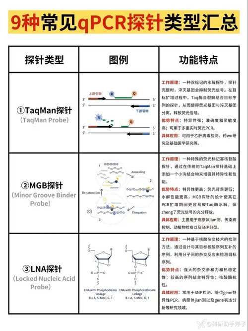 PHP探针工作原理及优化技巧有哪些？