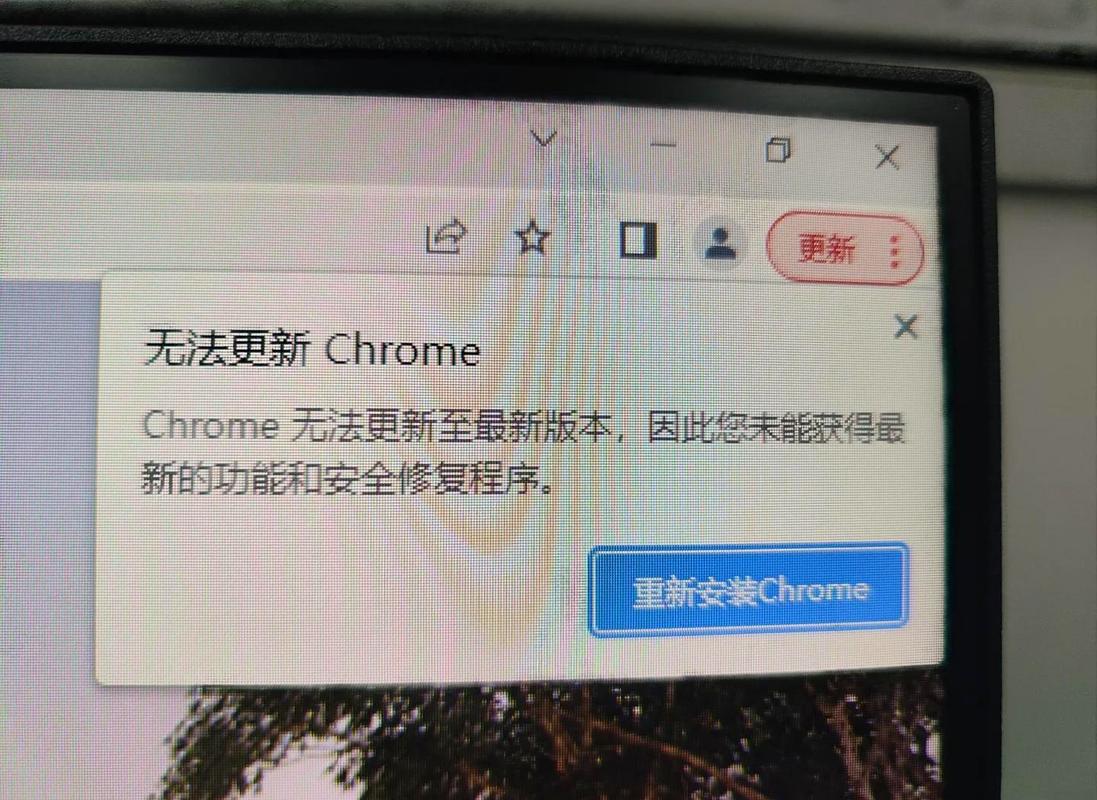 浏览器版本过低，更新后是否可避免病毒风险？