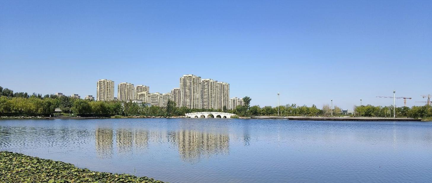 邹城济宁SEO哪家梗优，首选效果显著的是哪家？