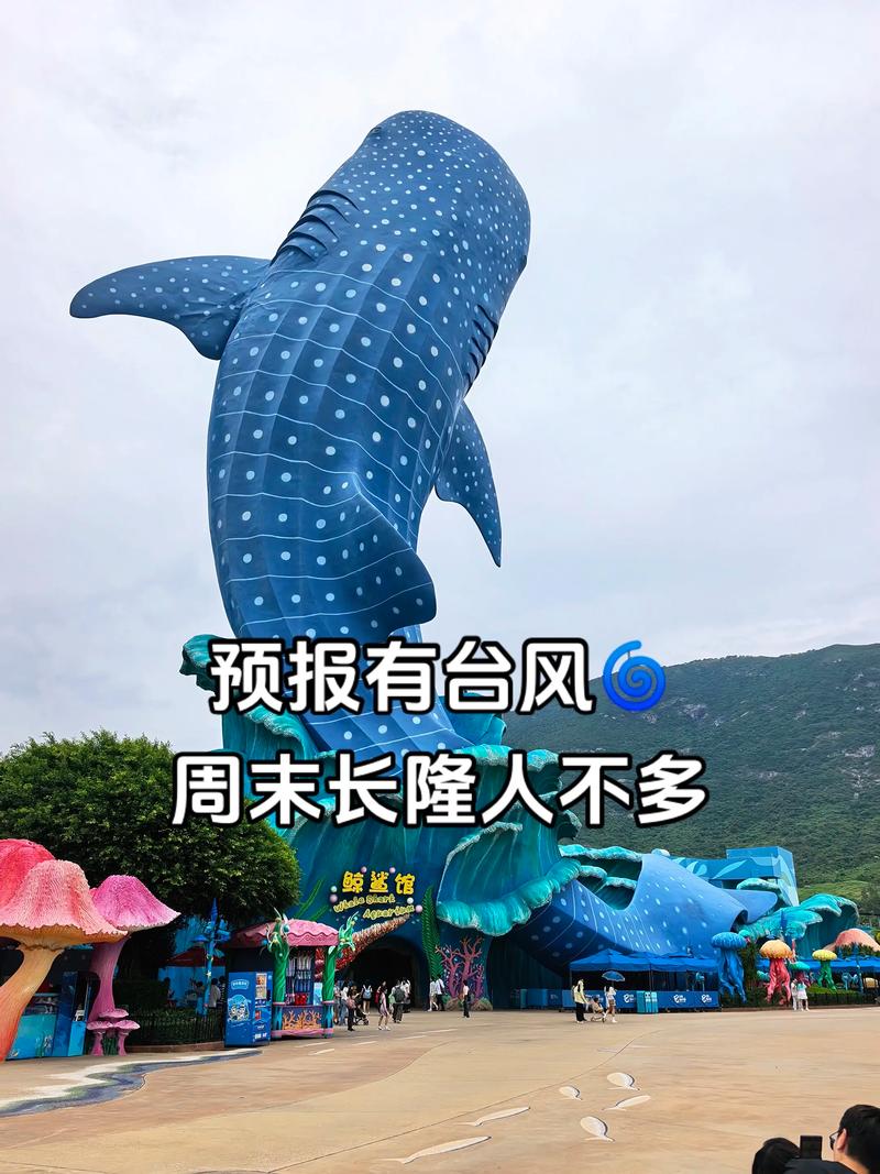 珠海流量巅峰，哪个话题轻松霸占？