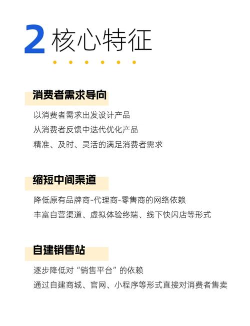 跨境电商，独立站(DTC)与平台(Amazon)对决，哪个ROI更高，决策者该如何选择？