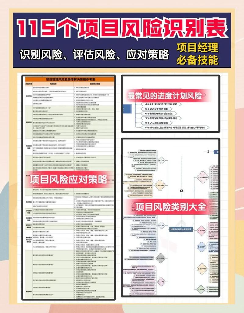 如何有效控制TL项目中的潜在风险？