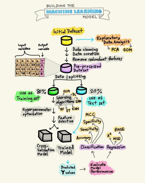 如何高效利用Lua进行数据表单的全面清理与优化？