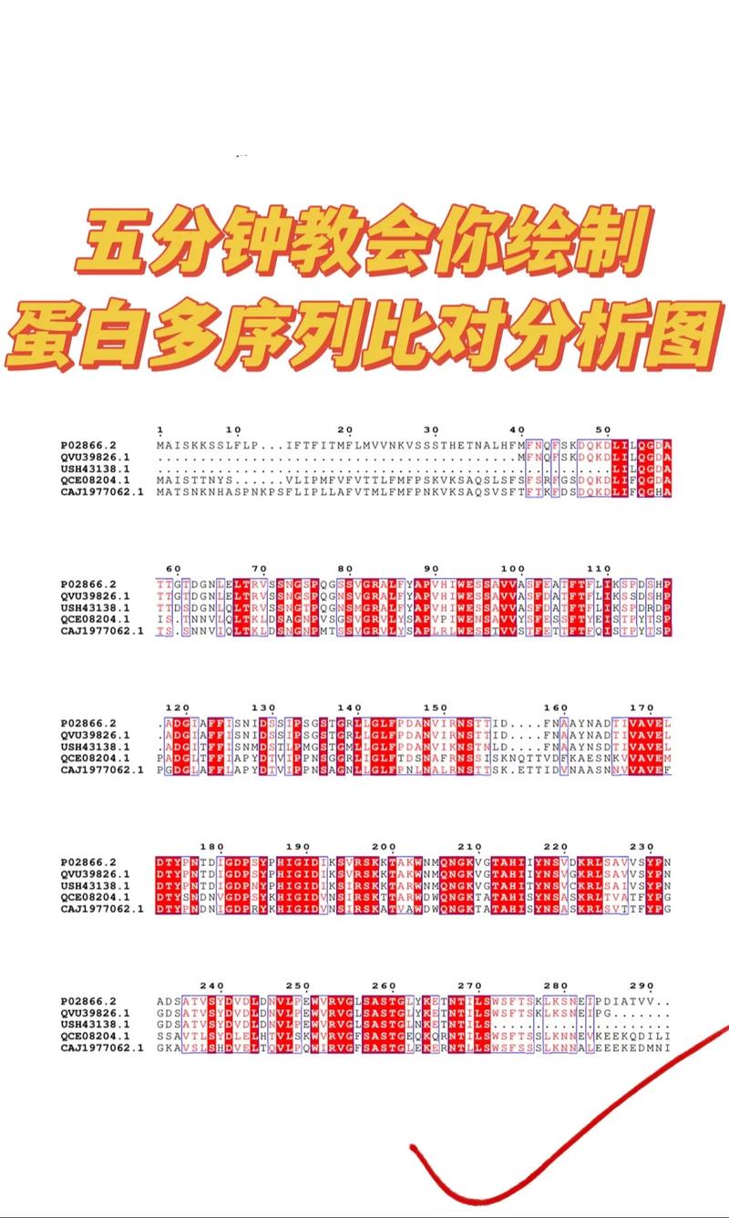 Python如何计算特定氨基酸在蛋白序列中的比例？