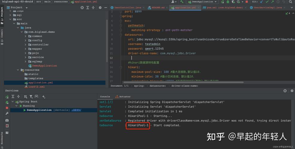 Spring Boot如何详细集成Druid数据源？