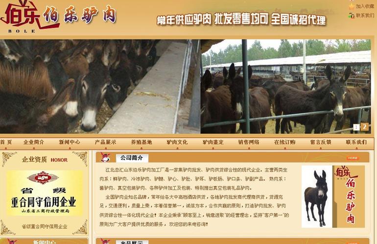 淮阴SEO站内优化专家是做什么的？