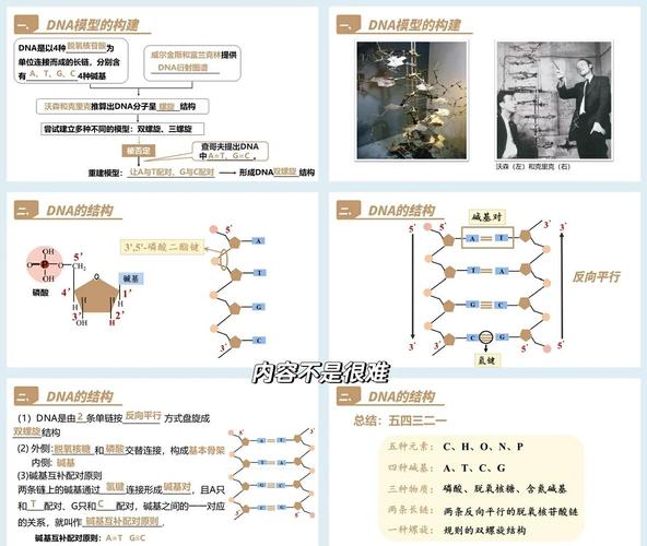 家族DNA数据库是用来做什么的，能帮助解决哪些遗传问题？