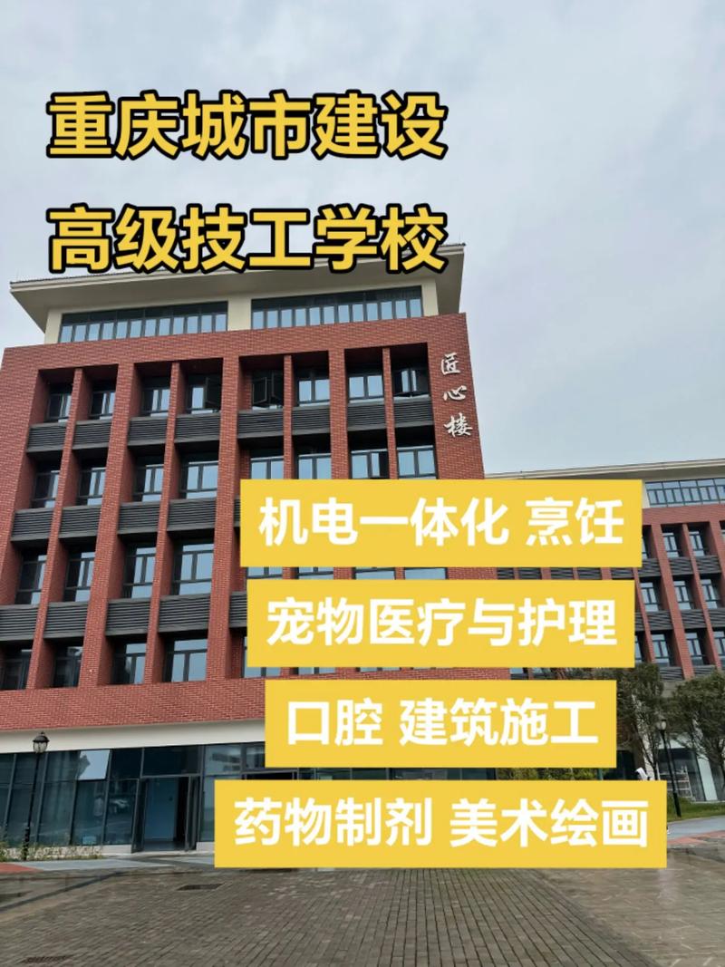 重庆江津建设工程交易网在专业建设之路上有哪些探索与实践经验可以分享？