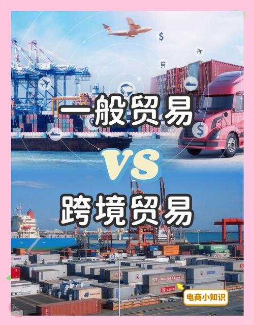 项目货物与外贸货物在本质上有何根本性差异？