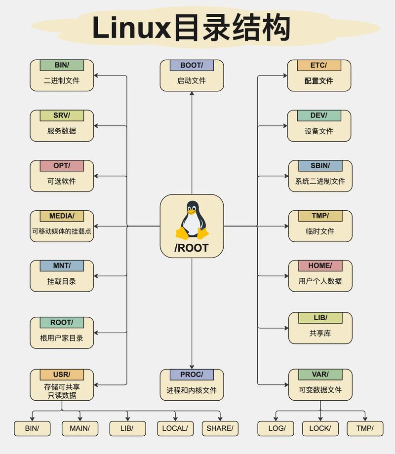 Oracle数据库的主目录具体指的是什么？