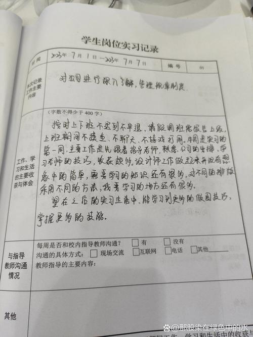网页设计实训日记，探索与发现之旅，有哪些全面记录值得分享？