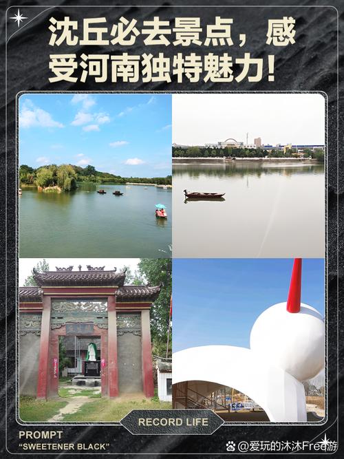 沈丘网业公司专业之道，究竟有何独特魅力，值得探寻？