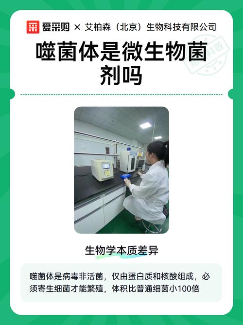 GMP与噬菌体项目，二者本质差异究竟何在？
