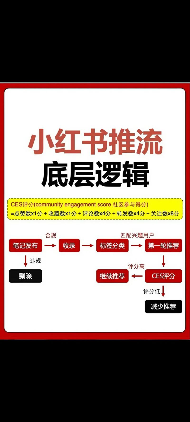 粉丝经济与社群经济有何不同？揭秘爆款背后的社群经济奥秘！