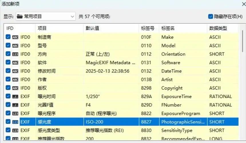 如何通过Python修改Excel文件的元数据信息？