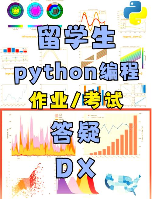 Python私教课程中，一对一辅导作业如何完成？