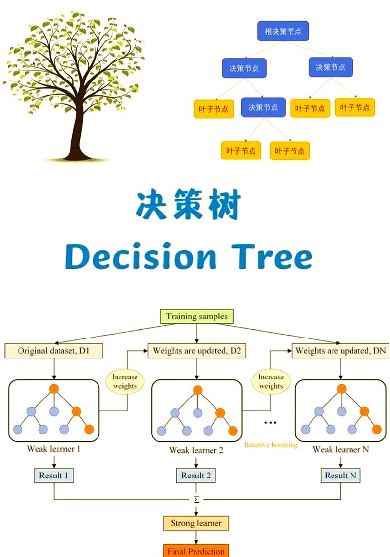 如何通过TreeSet类的first()方法获取树集合中的首个元素？