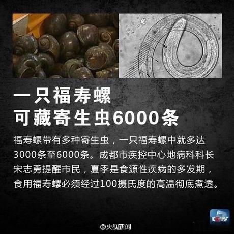 寄生虫EPG排名真相揭秘，百度搜索排名背后的秘密是什么？