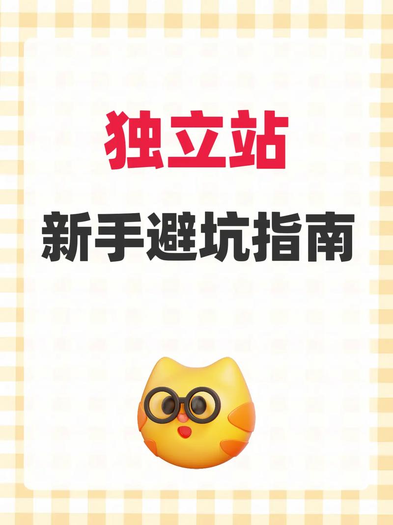 如何低成本快速搭建美国独立站？新手避坑全流程指导？
