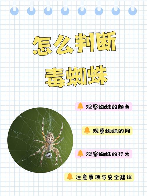 搜索引擎蜘蛛如何识别并避开SEO防范措施？