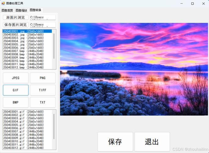 GDI和Windows窗体提供的图形功能，能否实现复杂动画效果和3D渲染？