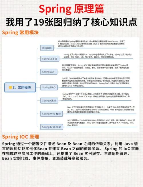 Spring Boot中不同注入方式各有优劣，您有何独到见解？