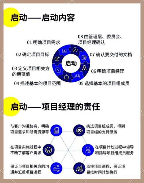 如何制定并执行SEO项目管理的高效策略，确保精准执行？