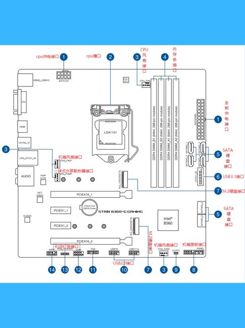 电脑组装接线时，哪个部件的连接顺序和注意事项最需要注意？
