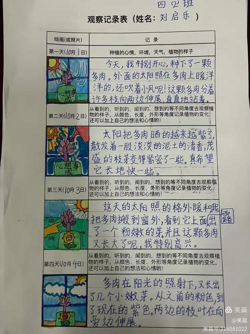 观察者Dom的变化记录中，有哪些细节值得关注？