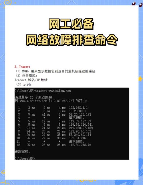 PHP中如何有效防御命令执行漏洞，确保网络安全？