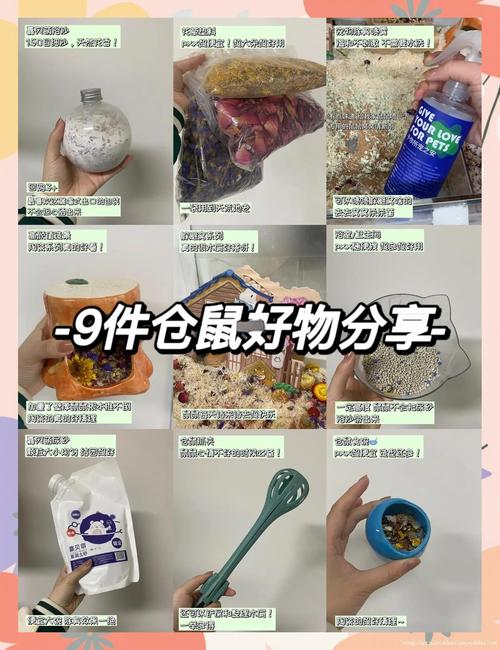 胖鼠舒适生活秘籍里有没有家居神器一招鲜的推荐？