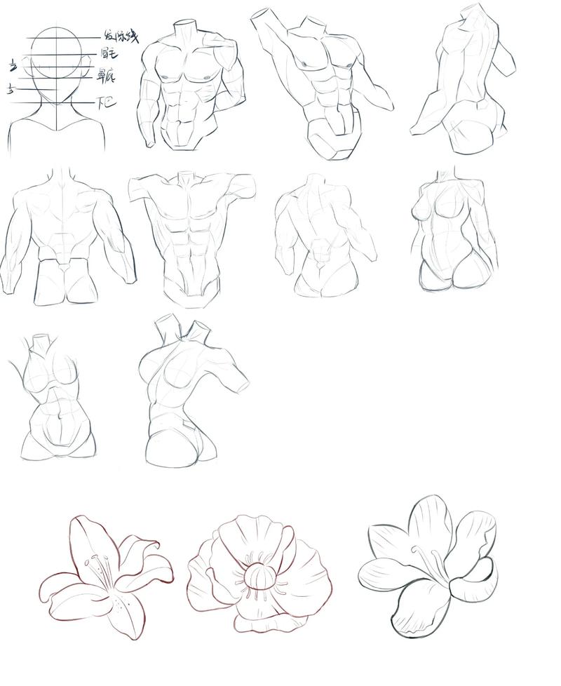 如何通过数位板轻松入门绘画？