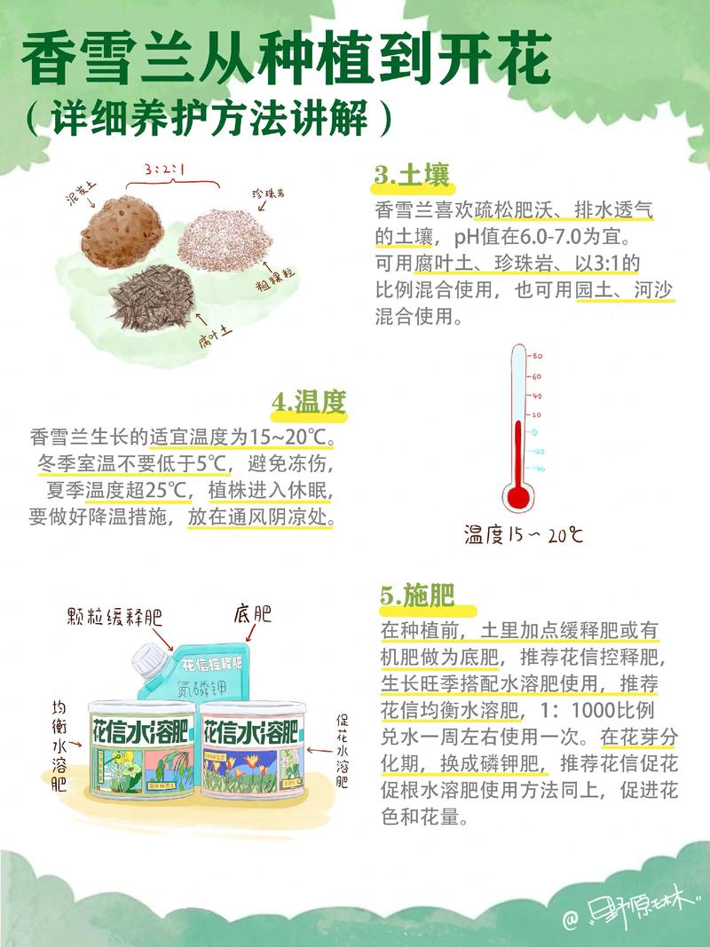 如何全面解析花卉种植与养护攻略？