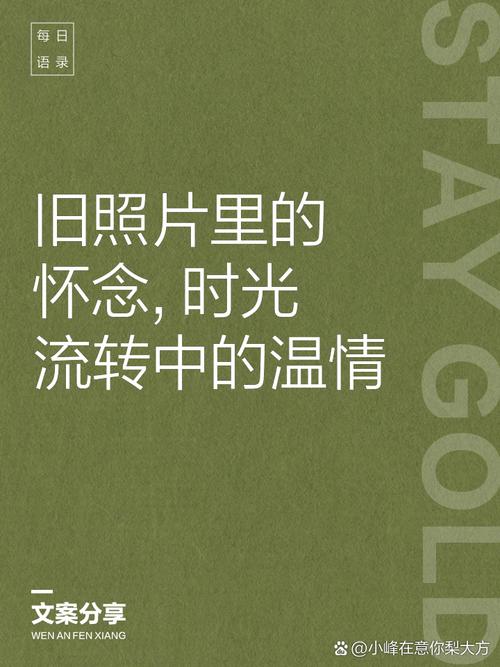 美图宝库收录的艺术美图，能帮我留住哪些难忘时光的魅力？