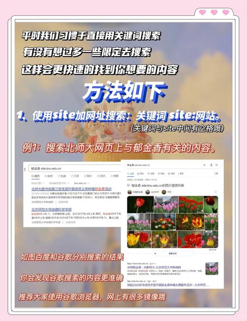 如何快速掌握高效搜索技巧，迅速获取所需信息？