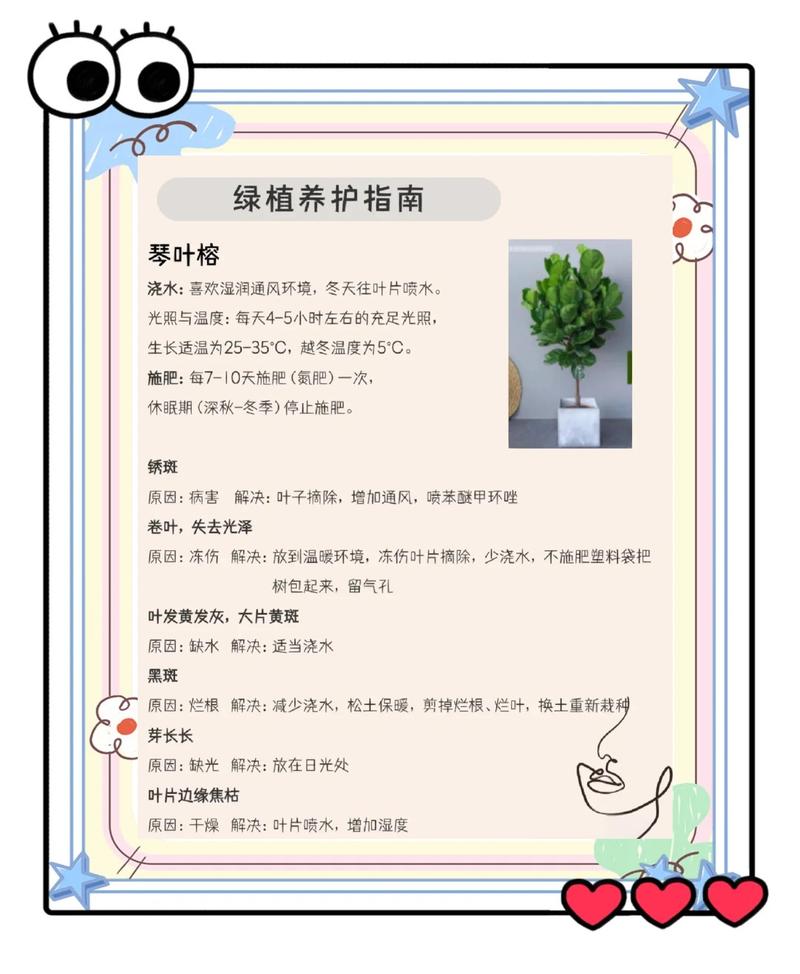 室内植物养护，如何科学掌握水、光、通风三要素？