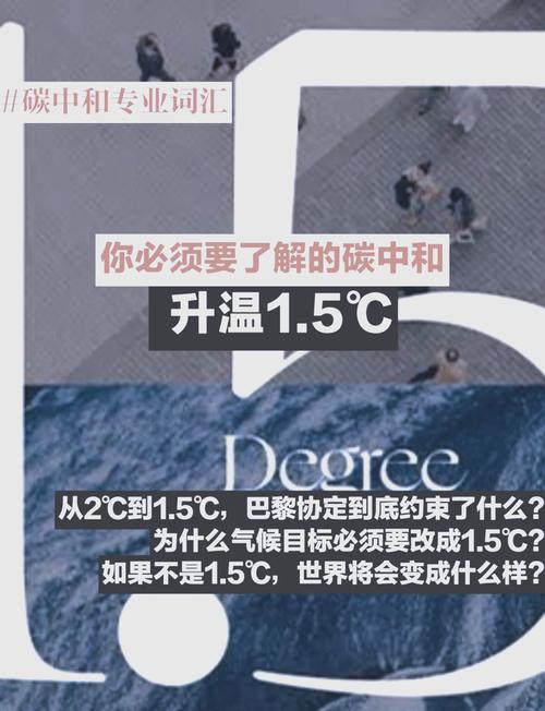 AI Coding订阅热潮退去，难道仅仅一季就如此迅速降温了吗？