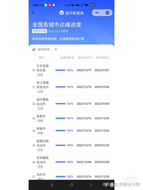 城市数据库达峰进度具体到哪个阶段或达到多少比例？