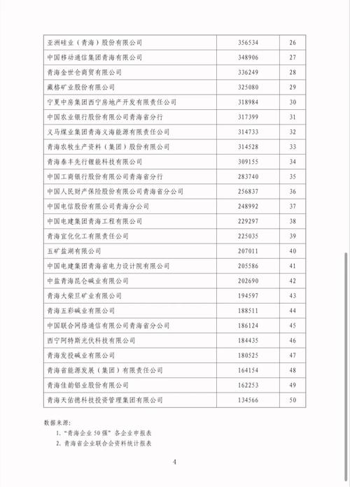 青海专业网站建设企业有哪些？请推荐引领高原数字化浪潮的知名企业排名？