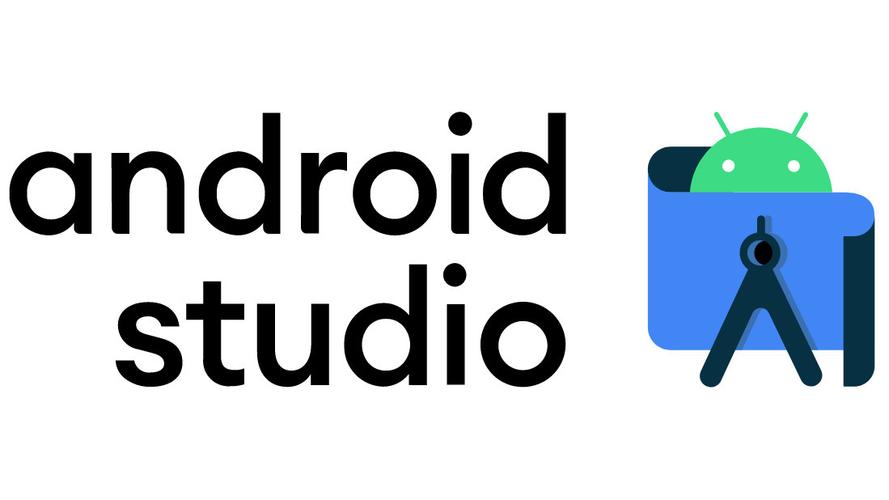 在2022.2版本的Android Studio中，为什么找不到捆绑的Java版本呢？
