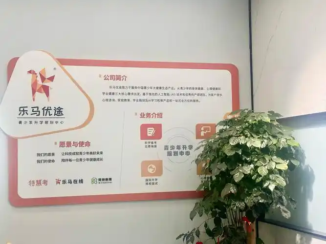 贵州品牌SEO服务，孟村地区哪家性价比高的优化公司值得推荐？