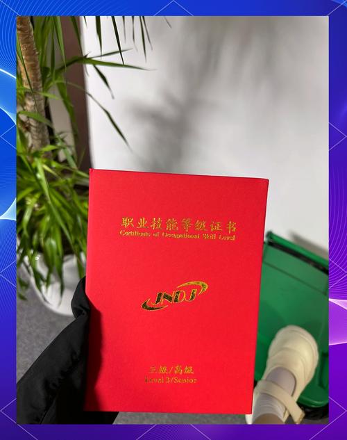网站建设与管理专业证书包含哪些内容？其价值与意义如何体现？