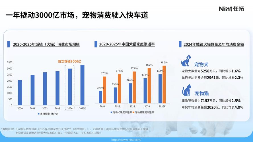 宠物电商新风口，代运营如何助力经济爆发式增长？