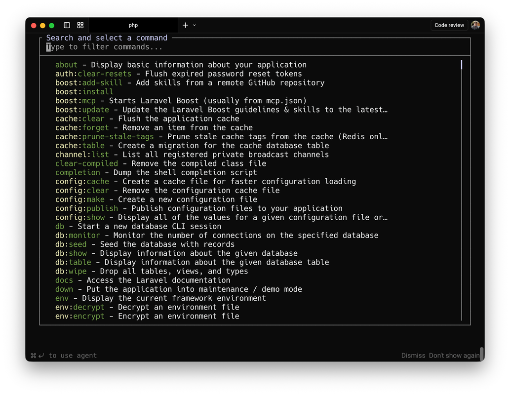 如何使用Laravel Artisan命令生成自定义模板？
