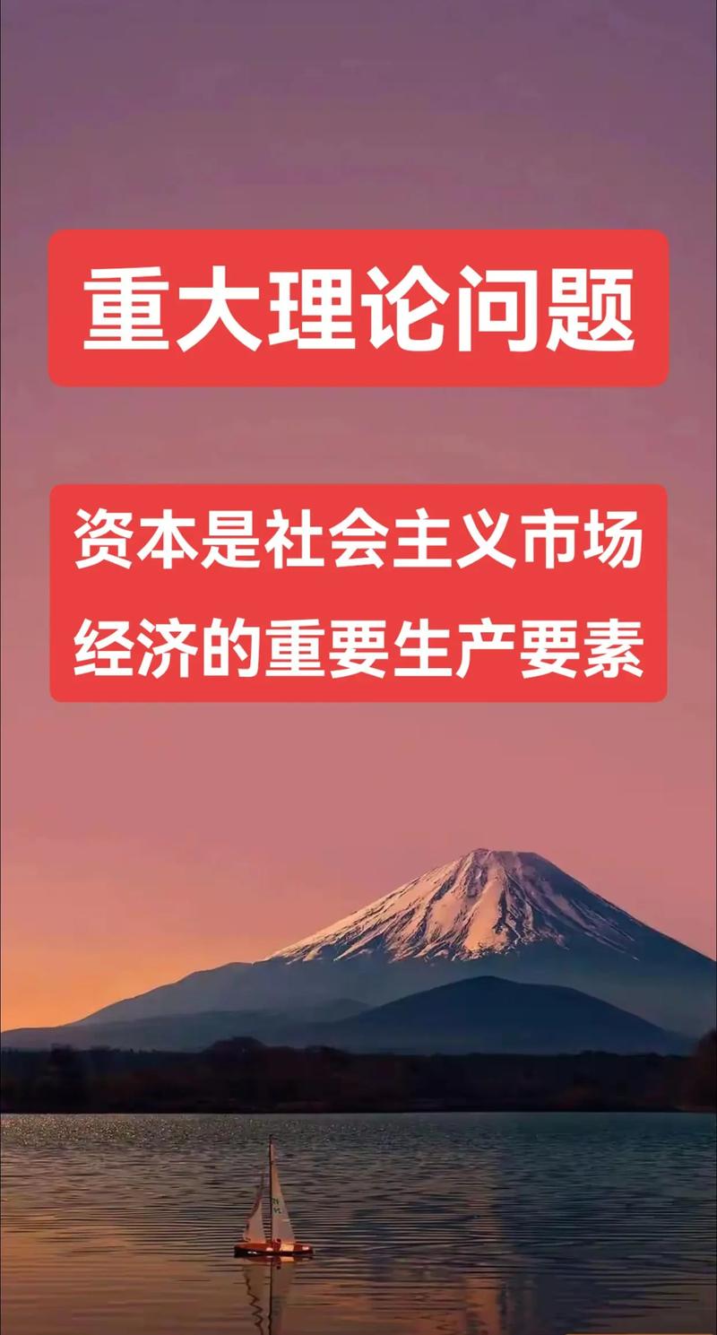 资本与项目在本质和具体应用场景上有哪些不同之处？