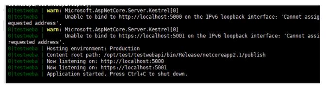 如何通过pm2高效守护并优化.NET Core应用程序的运行状态与性能？