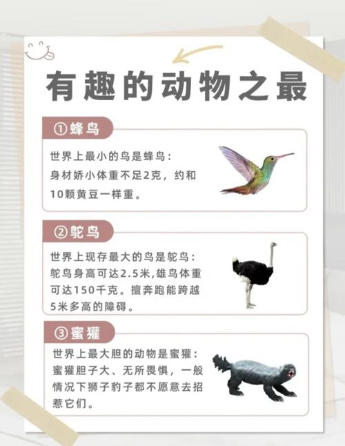 揭秘动物王国，探寻百科词条之首的奥秘，这究竟隐藏着怎样的秘密呢？